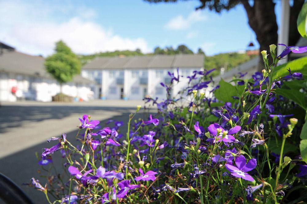 Midway Pacifica Lodge Lower Hutt Buitenkant foto